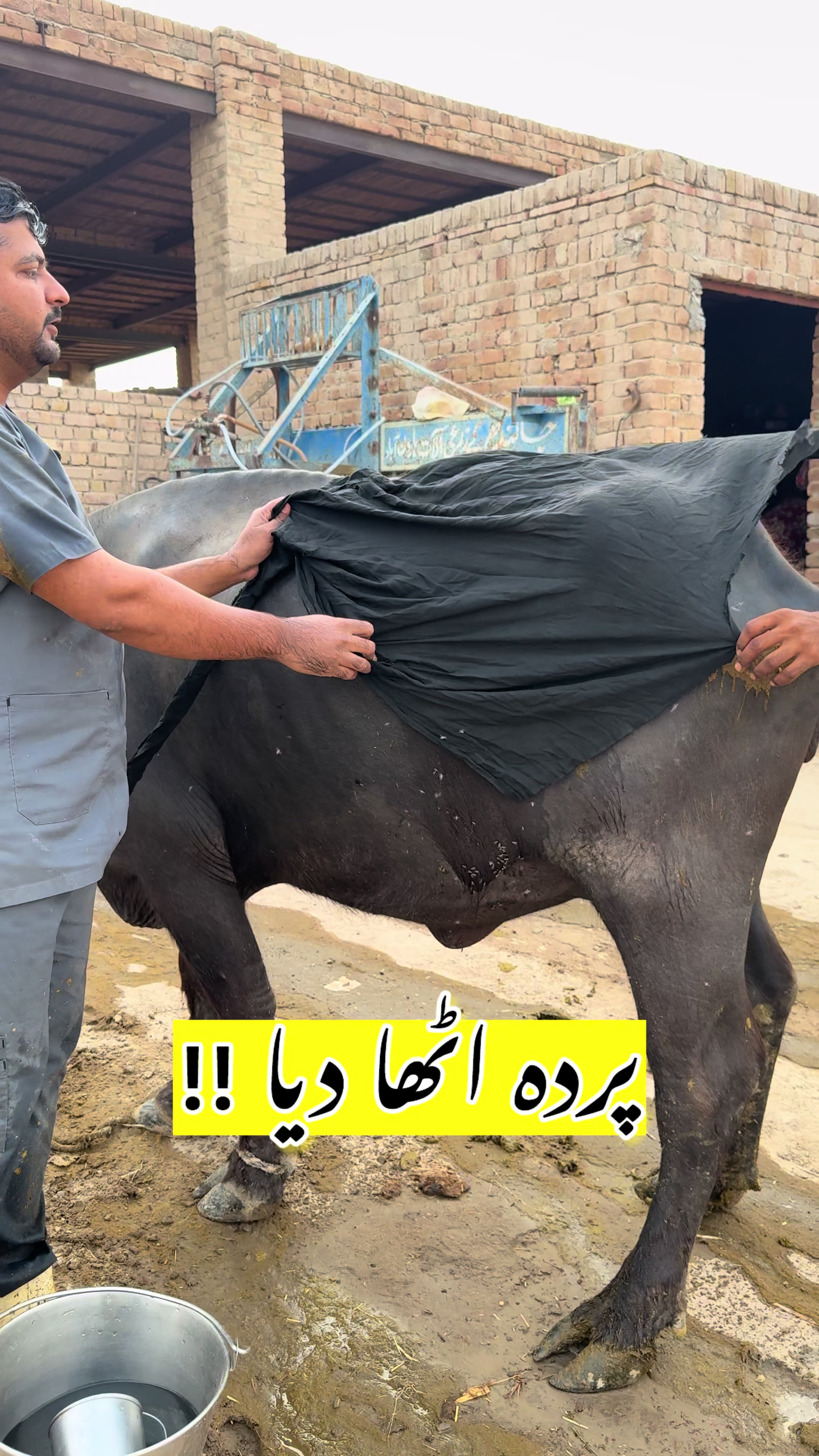 @Dr.Mohsin