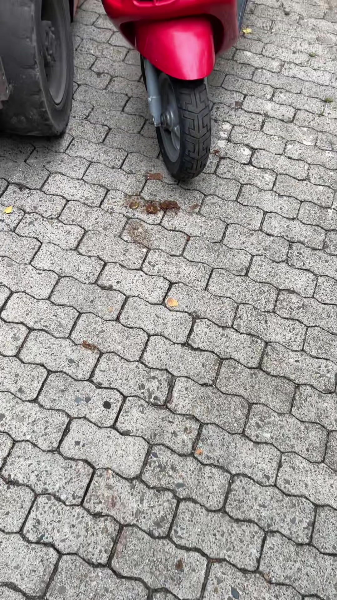 @👨&zwj;🍳