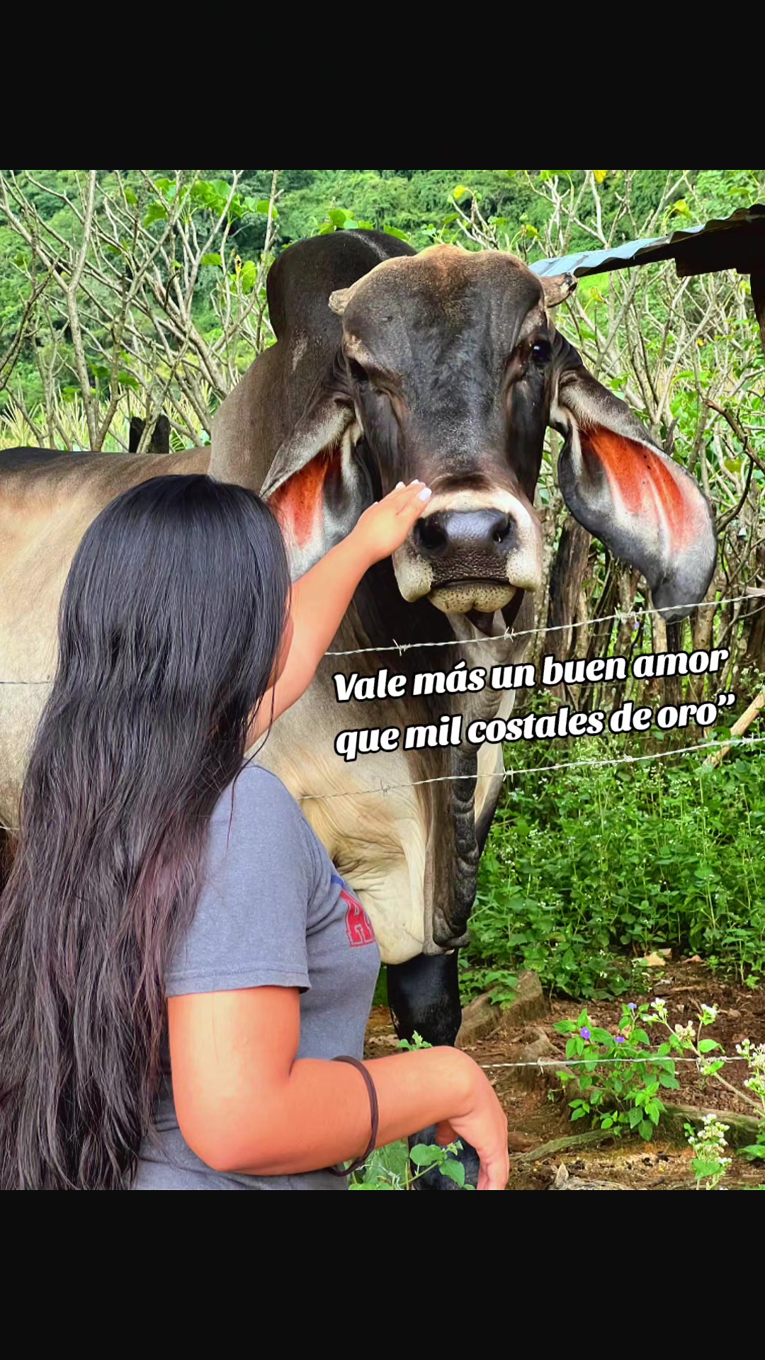 @Yuly Maldonado🍀♥️