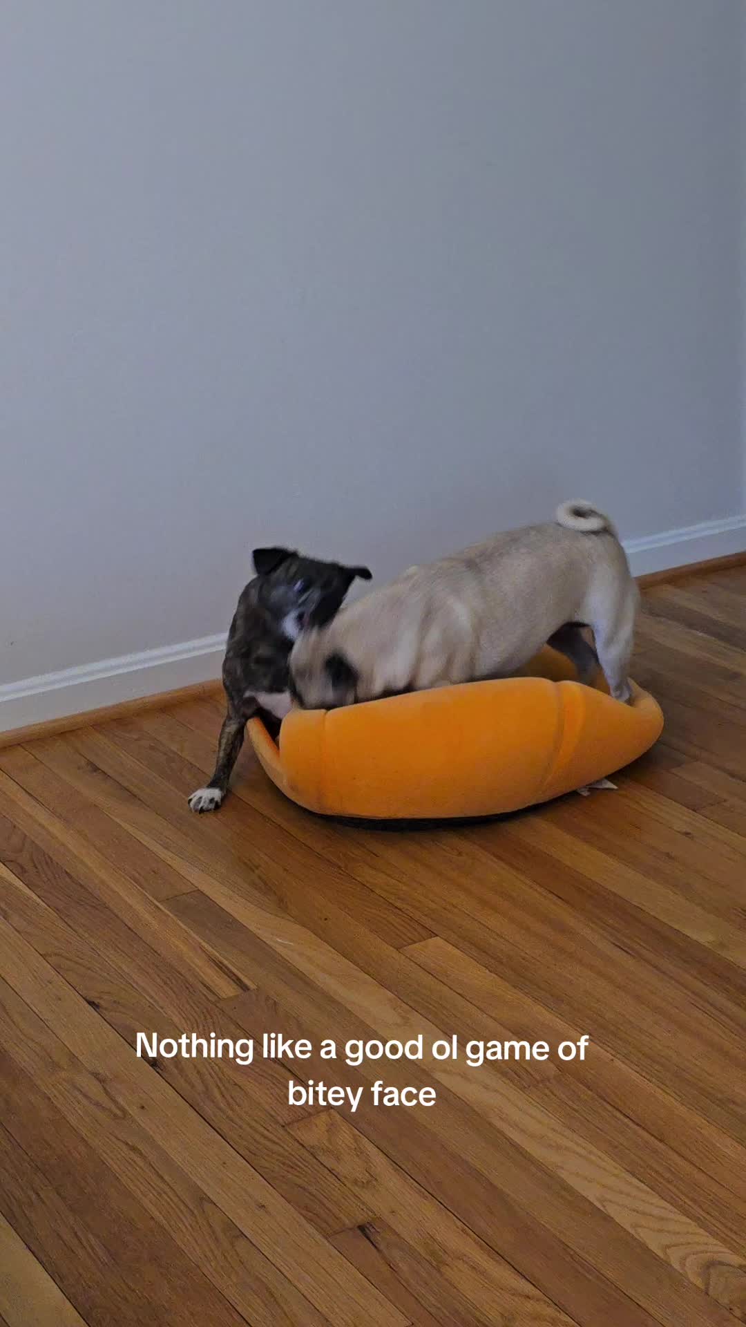 @Bah Humpug