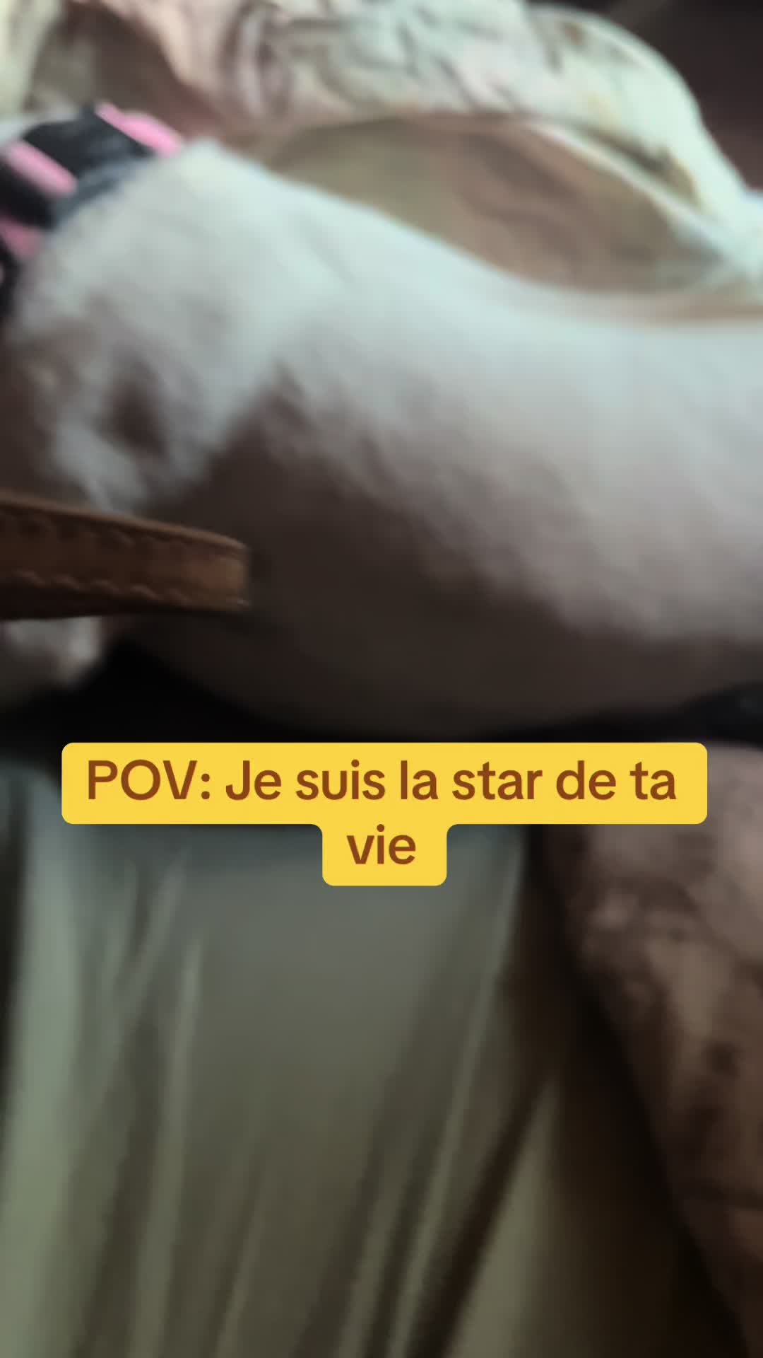 @Drôle de bête 😜