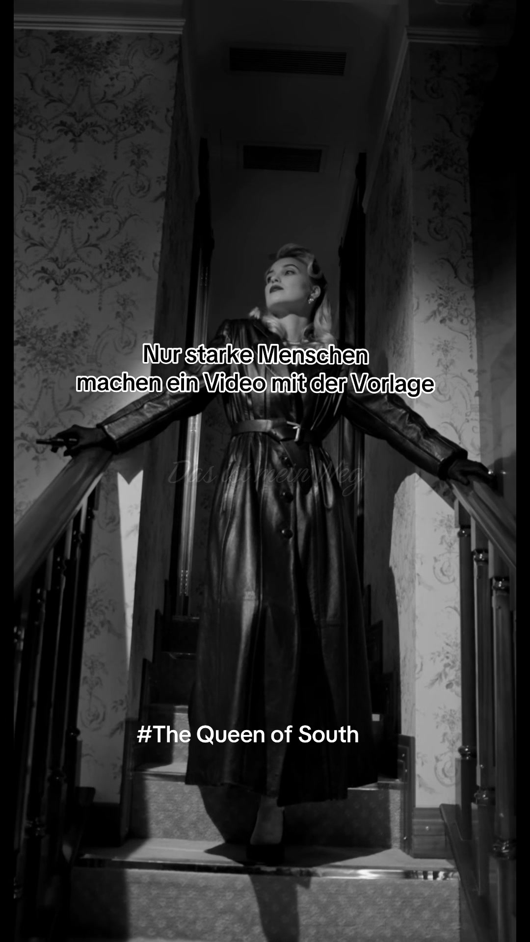 @The Queen of the south