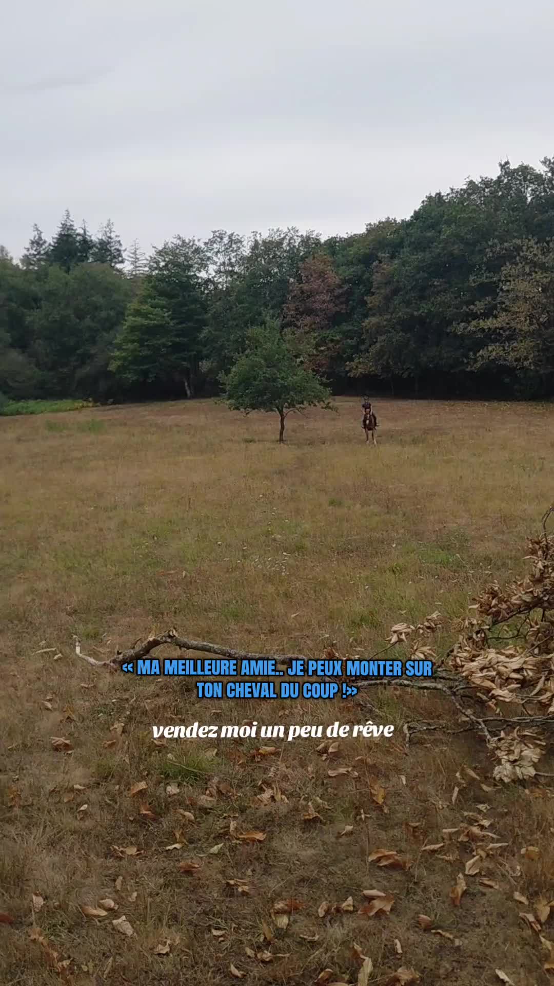 @un_coeur_alezan