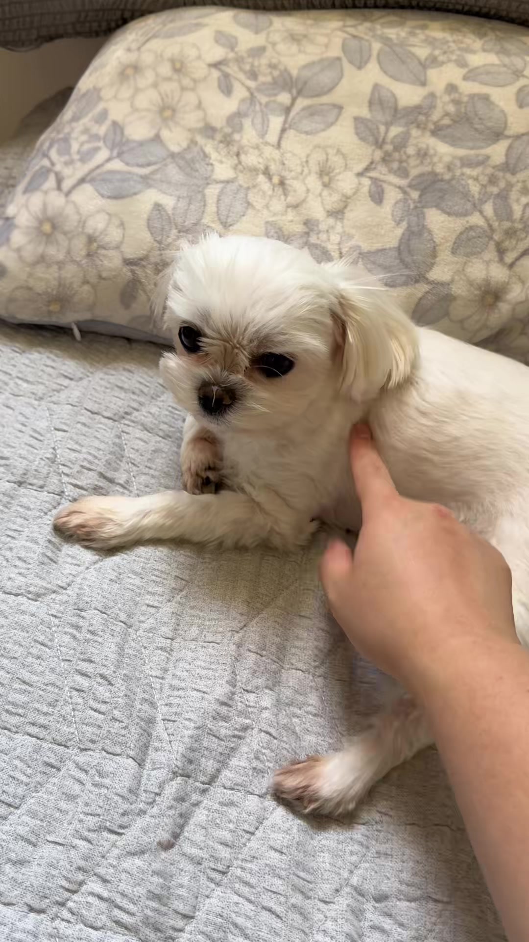 @오늘도 귀여워