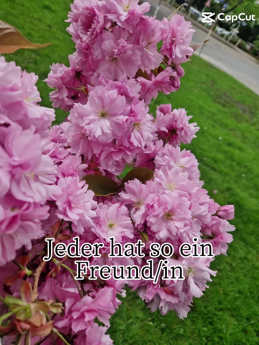 @๐๐ต๐ถ๐ฒ๐ท๐ช ๐น๐ท๐๐ค