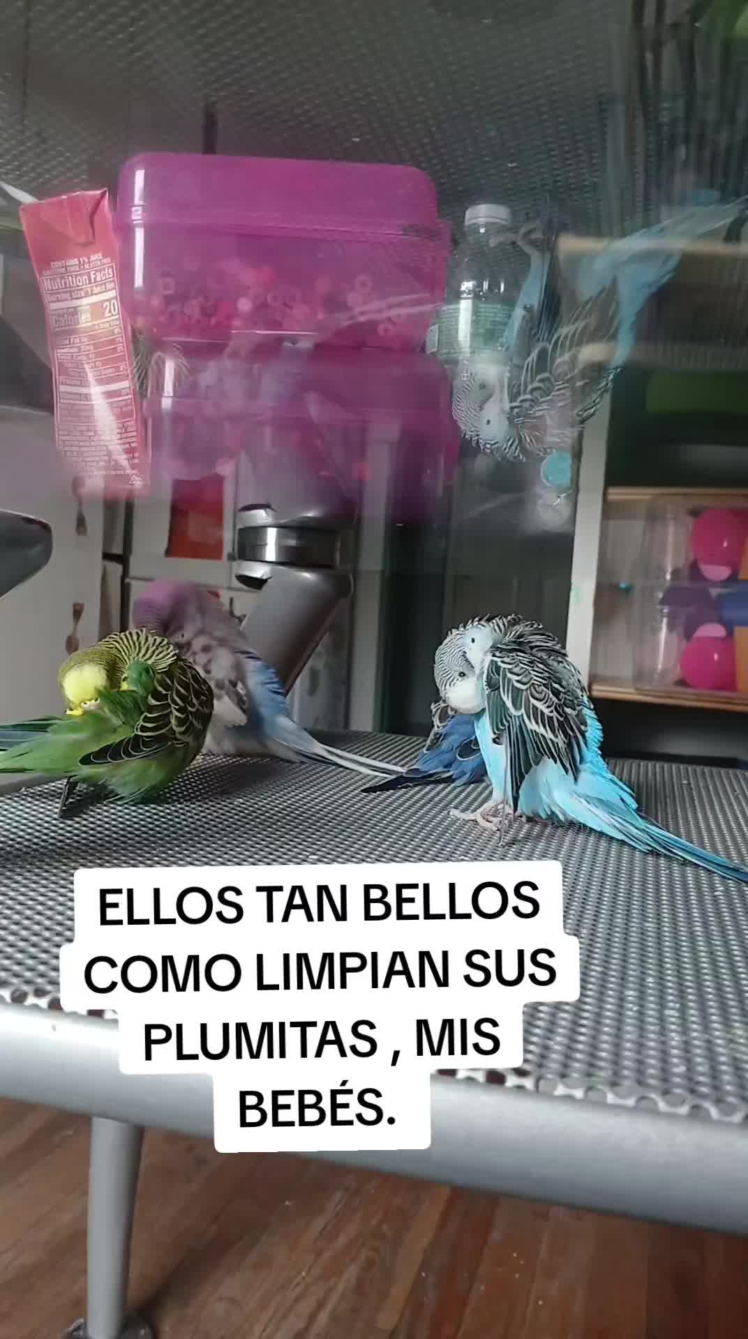 @sarahi
