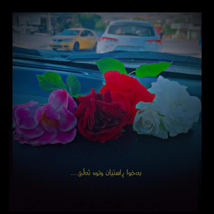 @نـ ـــونـ ــــە🕊️🤍