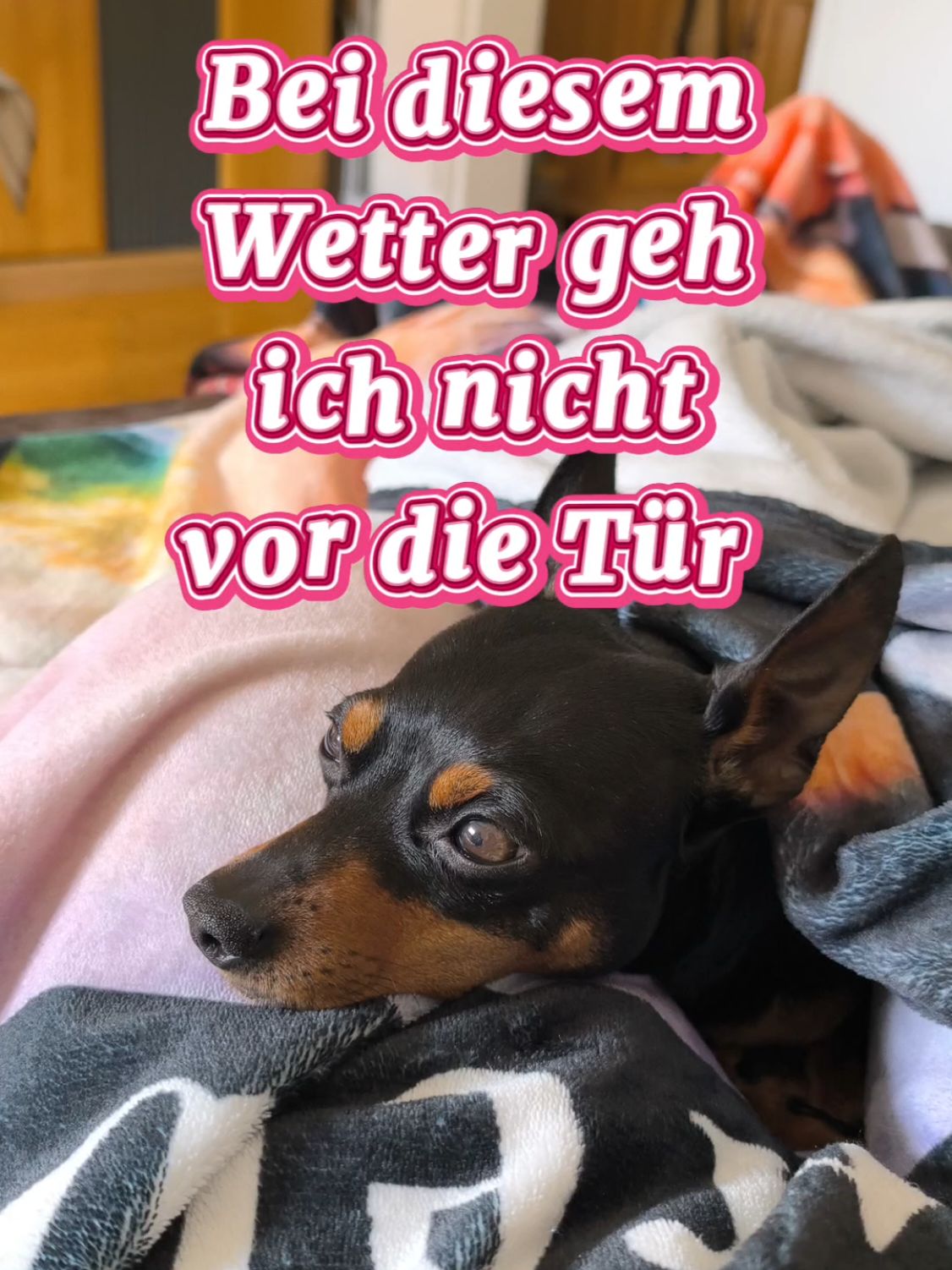 @ICH BIN'S