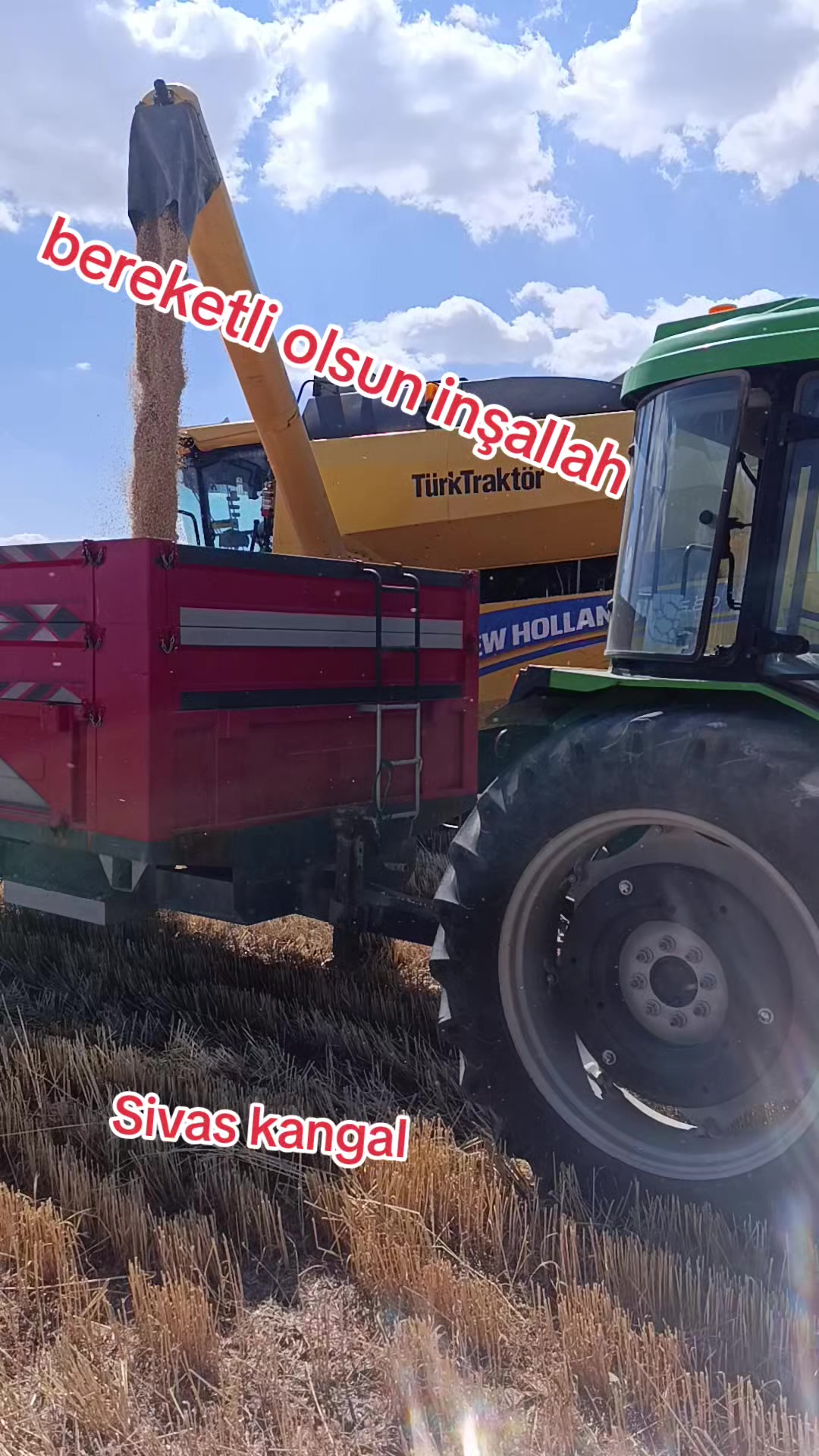 @Umut Şeker 58