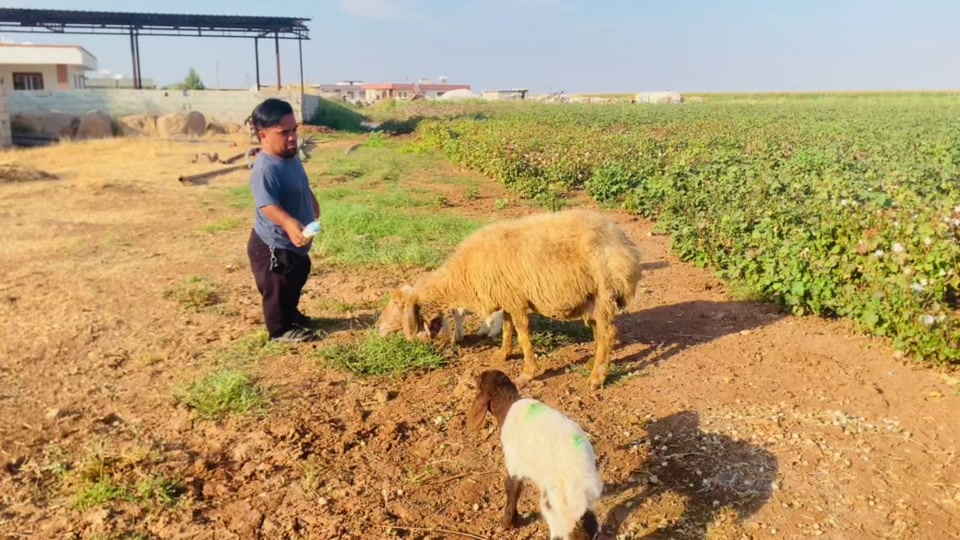@SEDAT Uçâk|صدام العلي