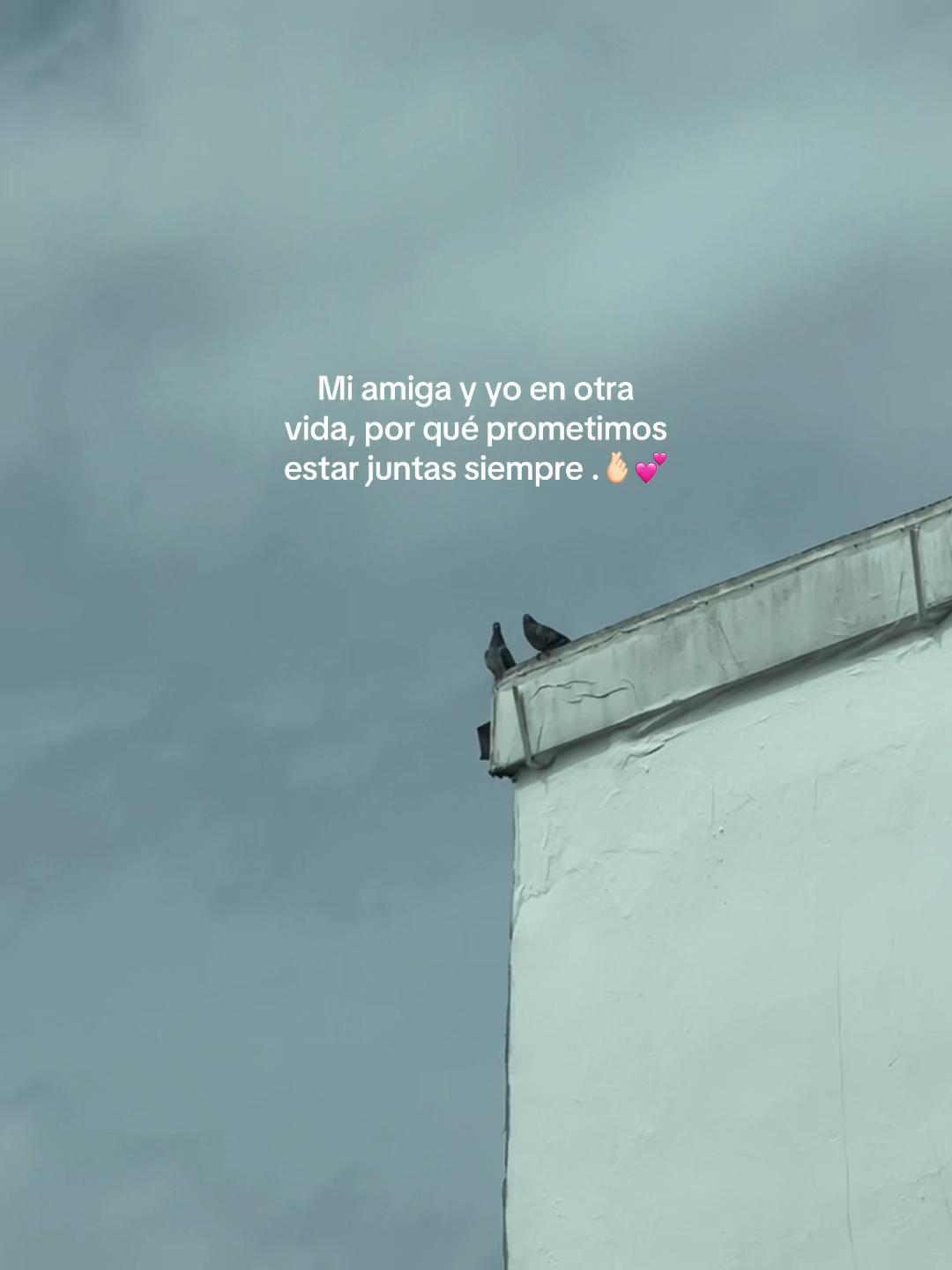 @ElsaYariela
