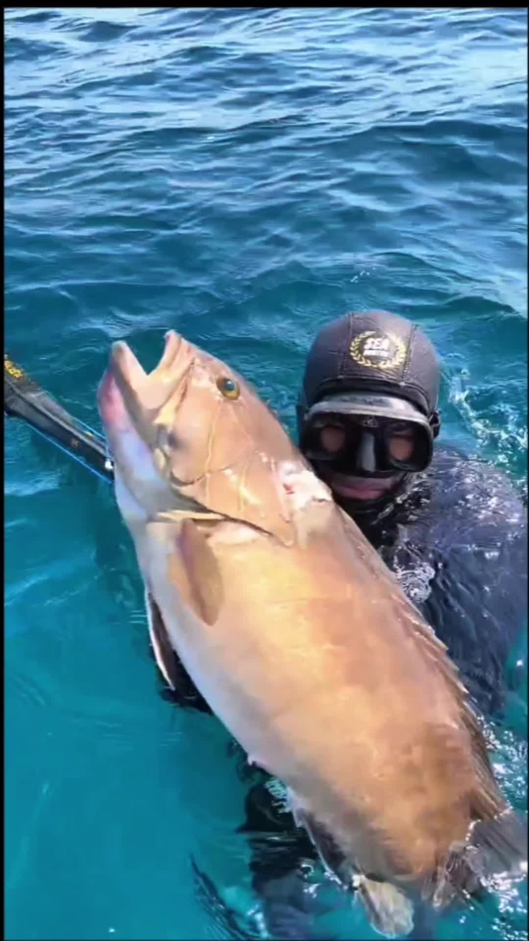 @SeaHunter.Italia