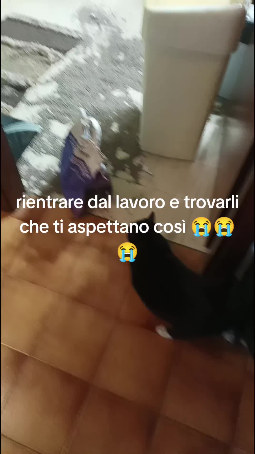 @donna ciretta bella