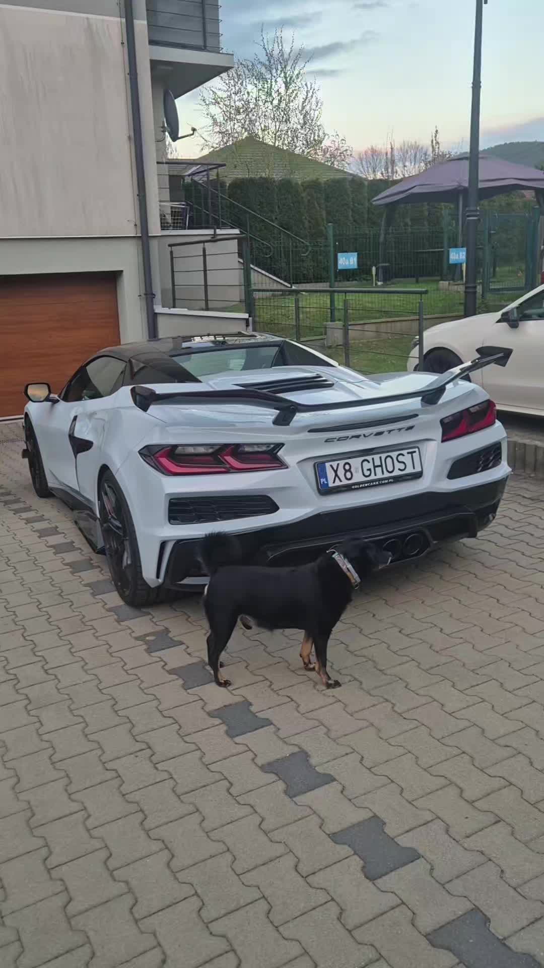 @Golden Cars
