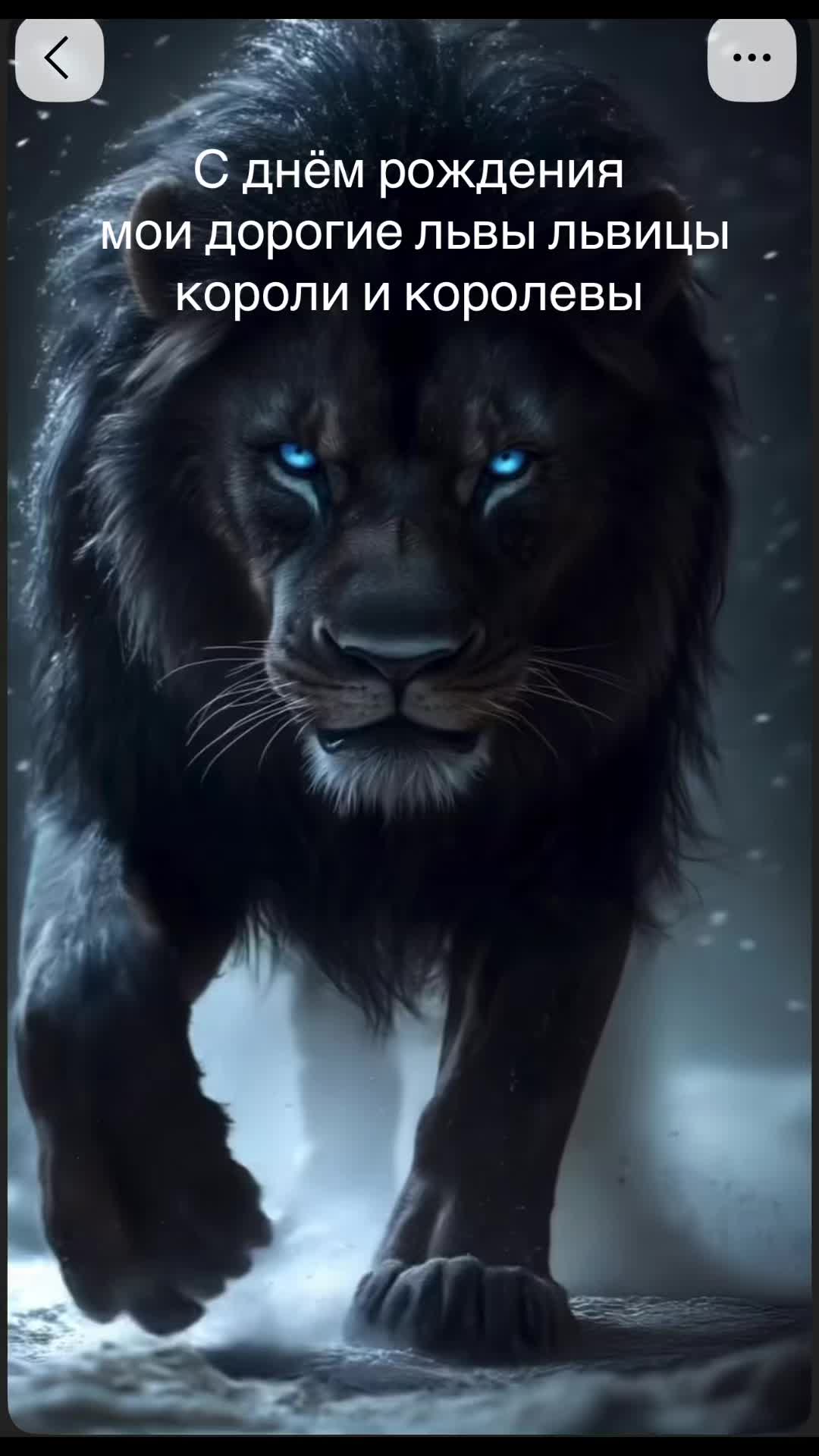 @🇩🇪♌️ ЛьВиЦа. Я ♌️🇩🇪