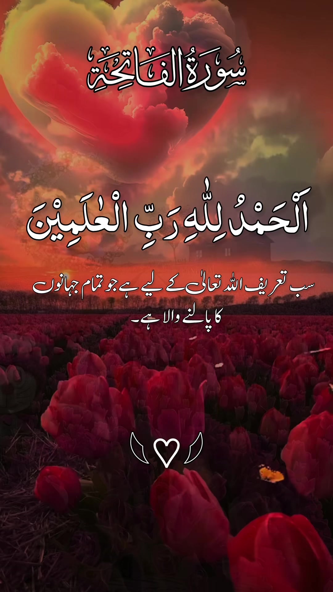 @❣️ Words of Allah ❣️