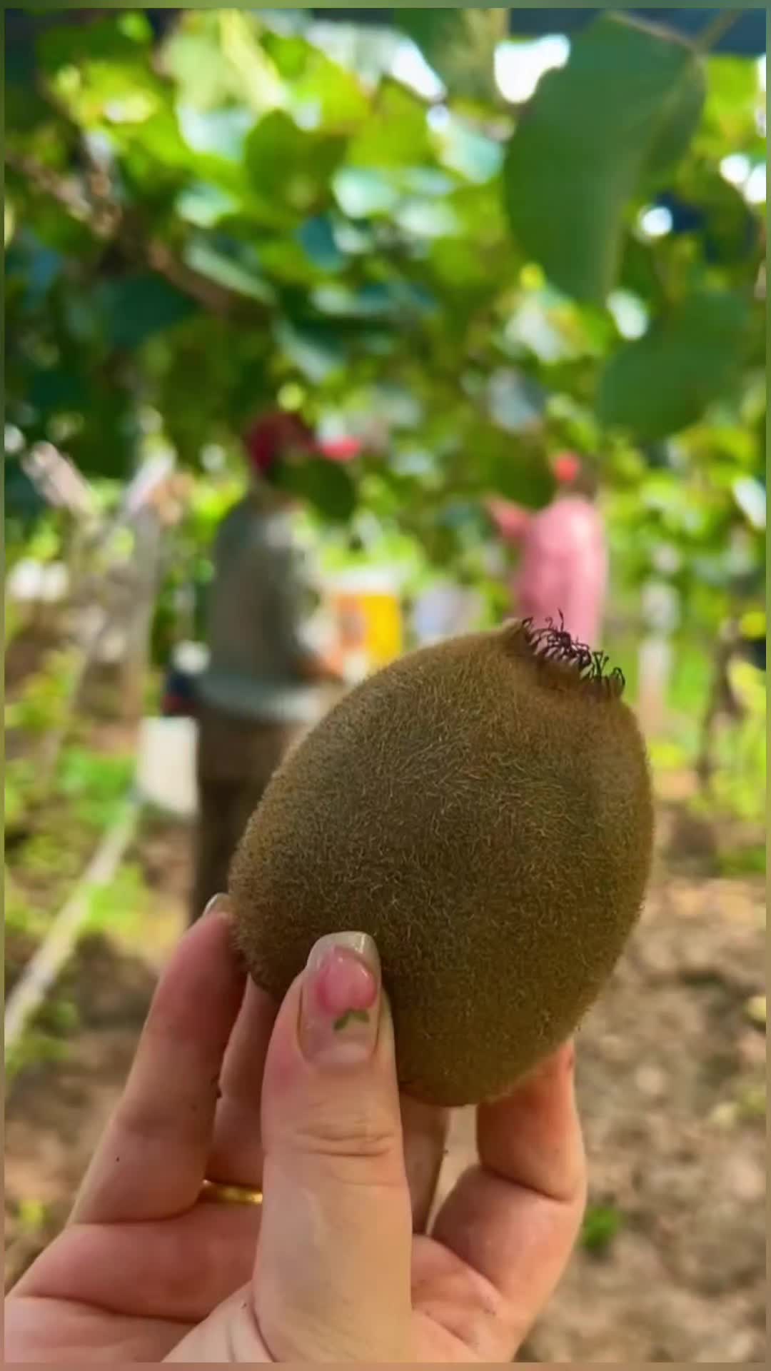@lovefruits68