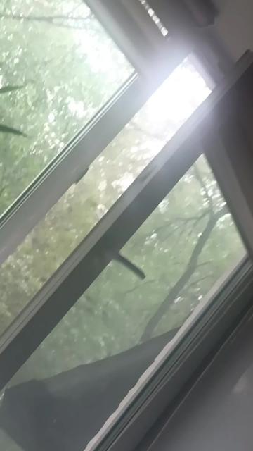 @даниил сергеев