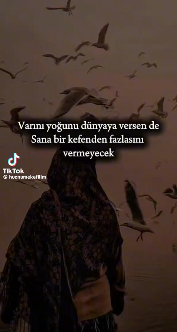 @Adil