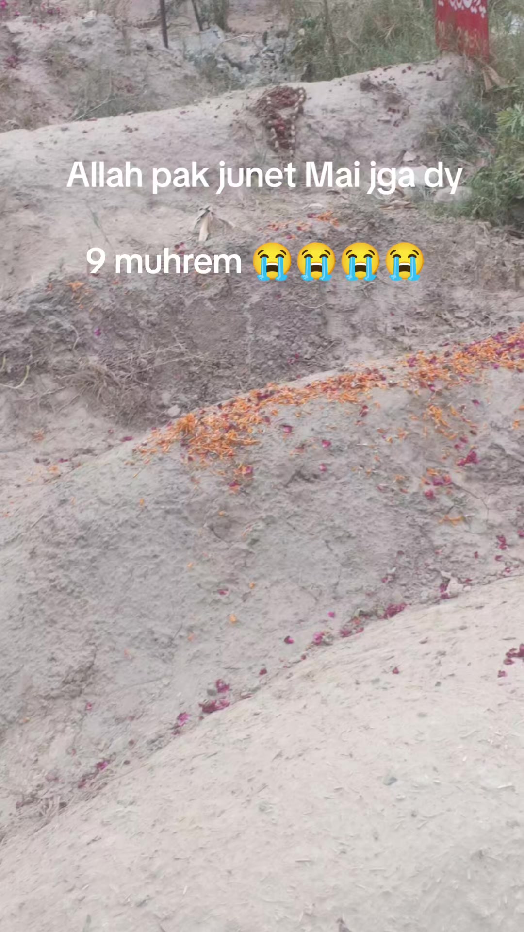 @🎭MAنSAR👻