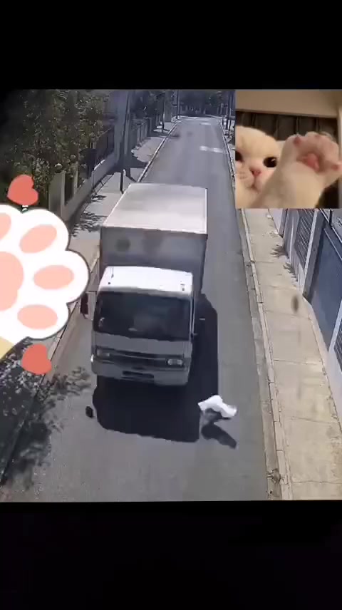 @varcan❤️