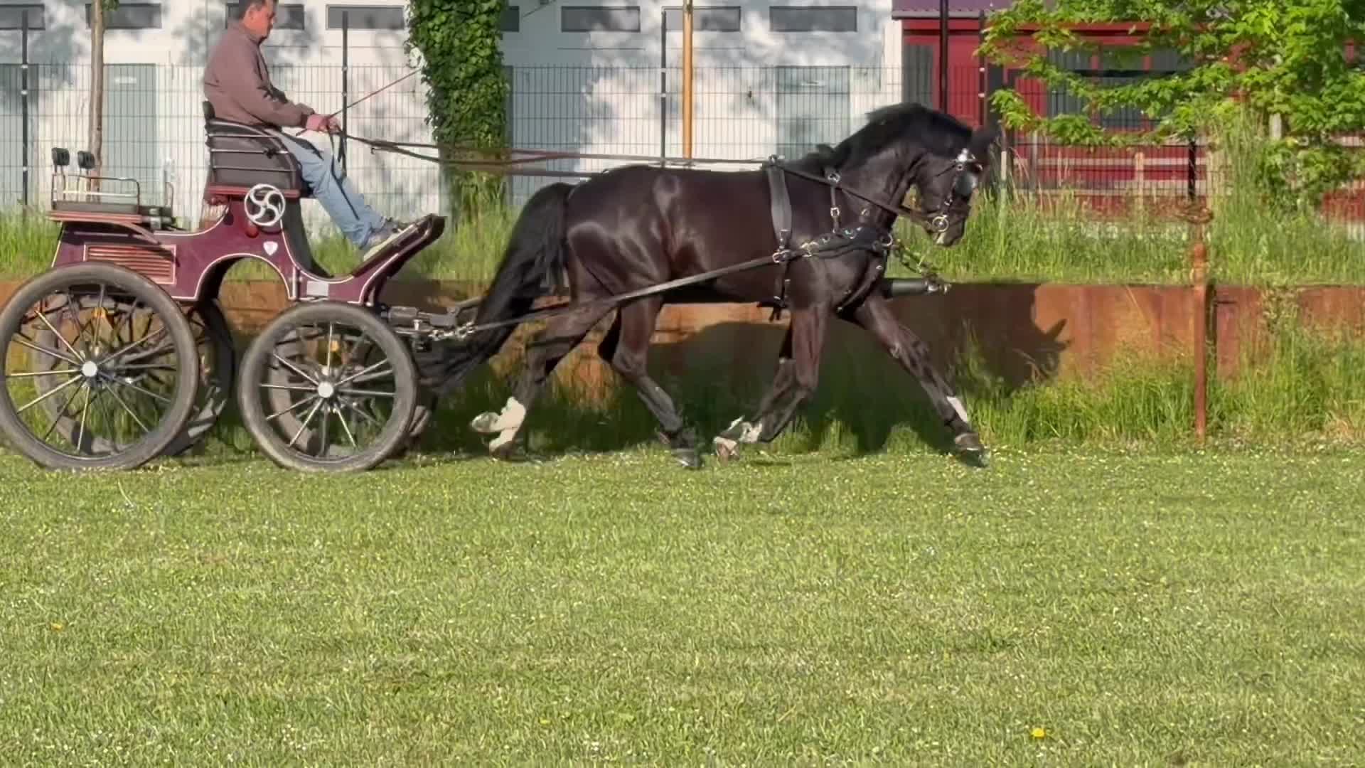 @Antal Szabi