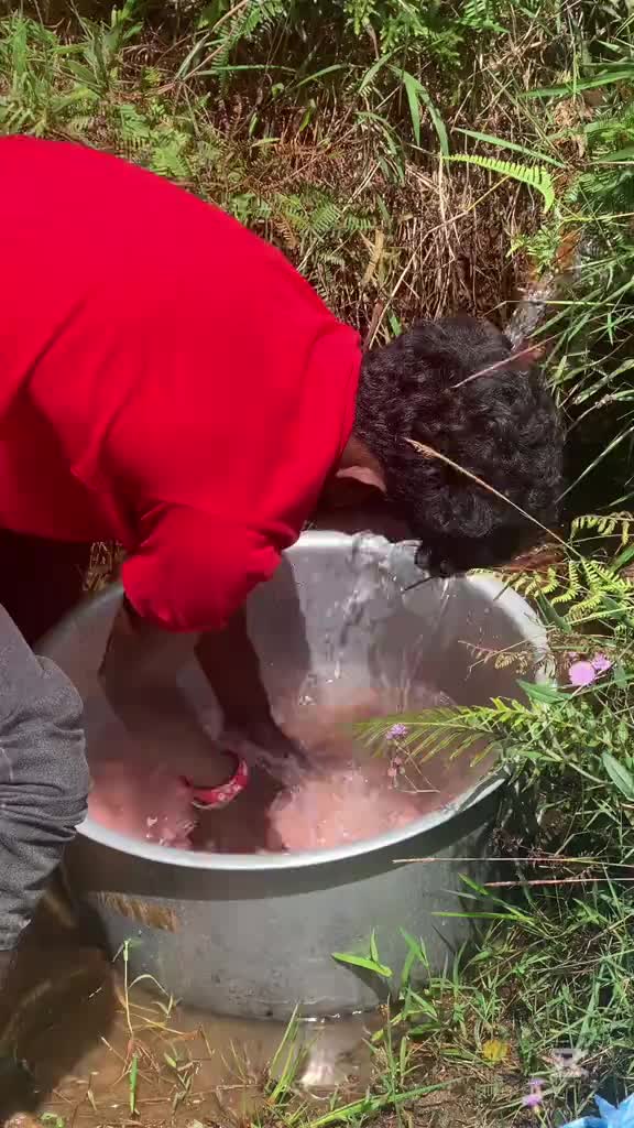 @vickneshvicknesh