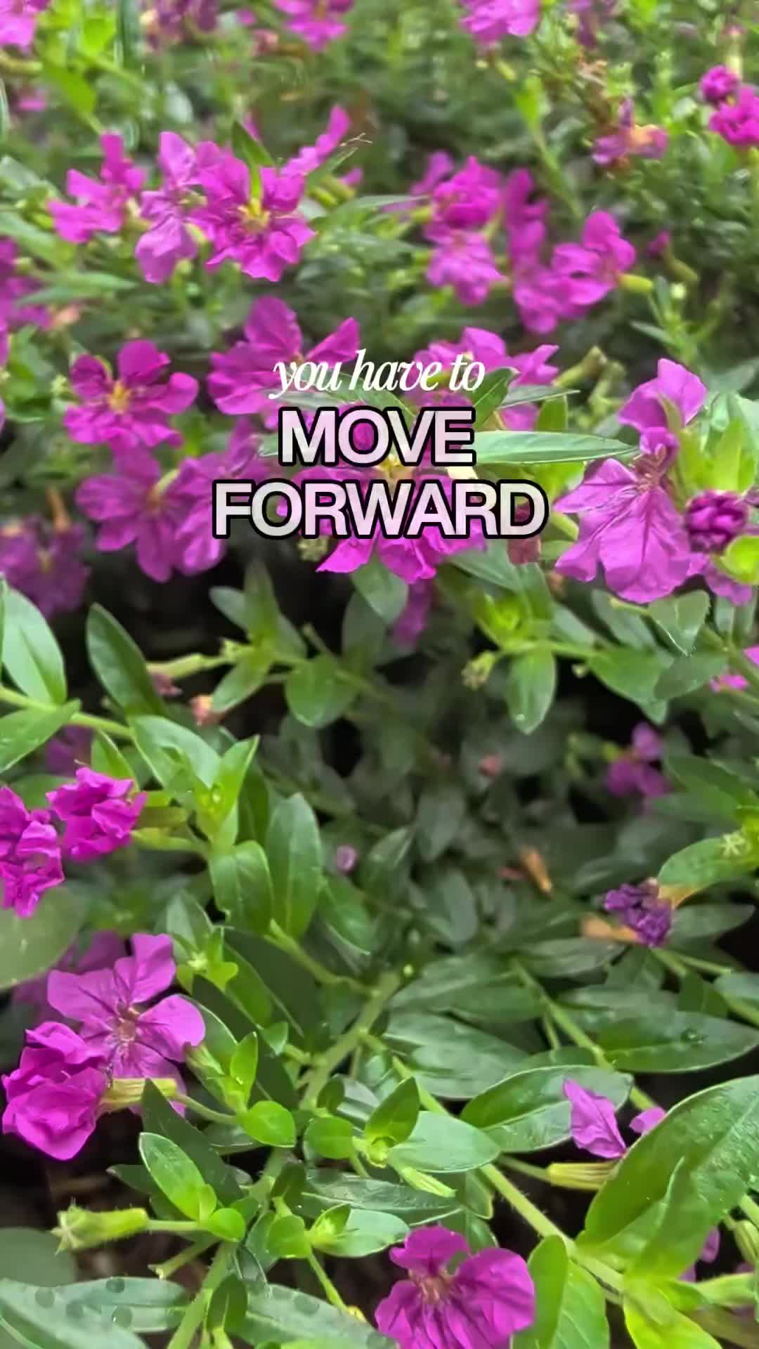 @Sarah Rene