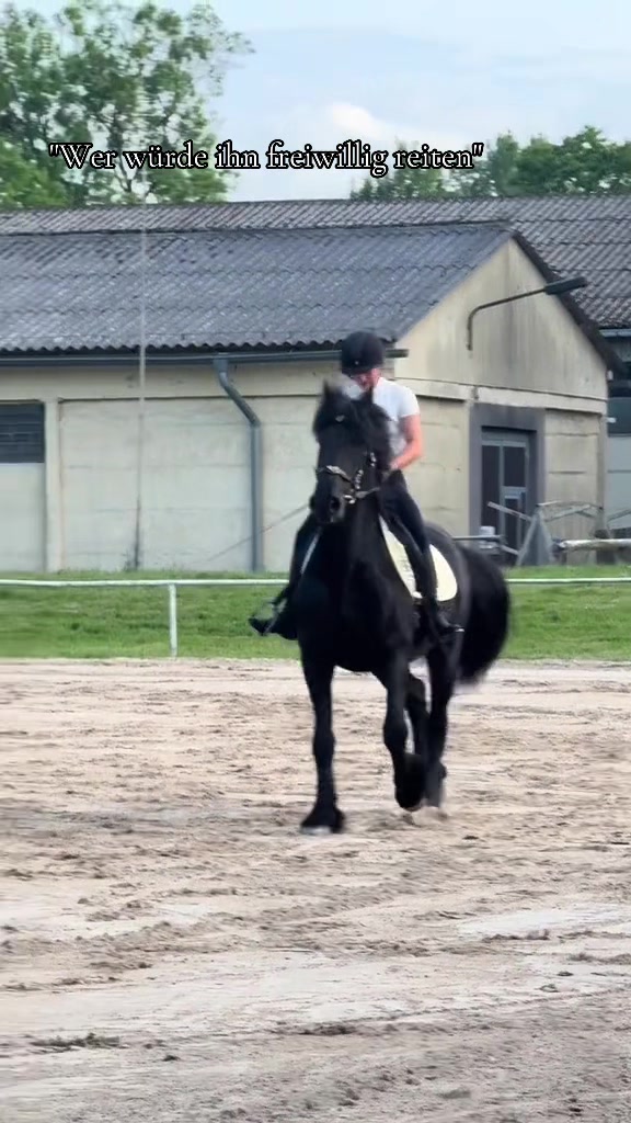 @Horses