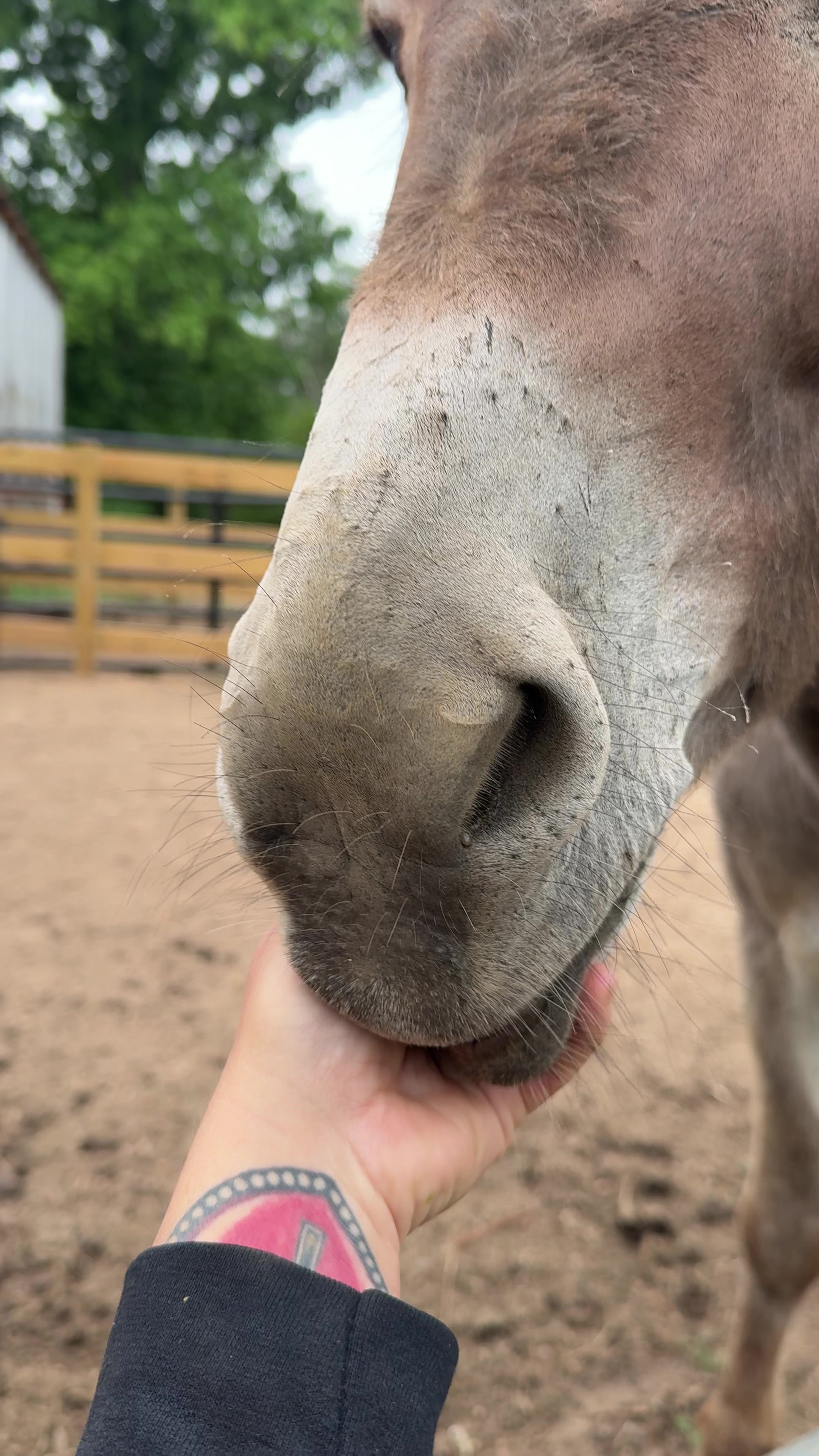 @jacksonridgefarm