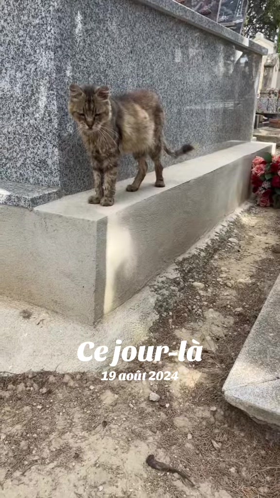 @LoTilia__