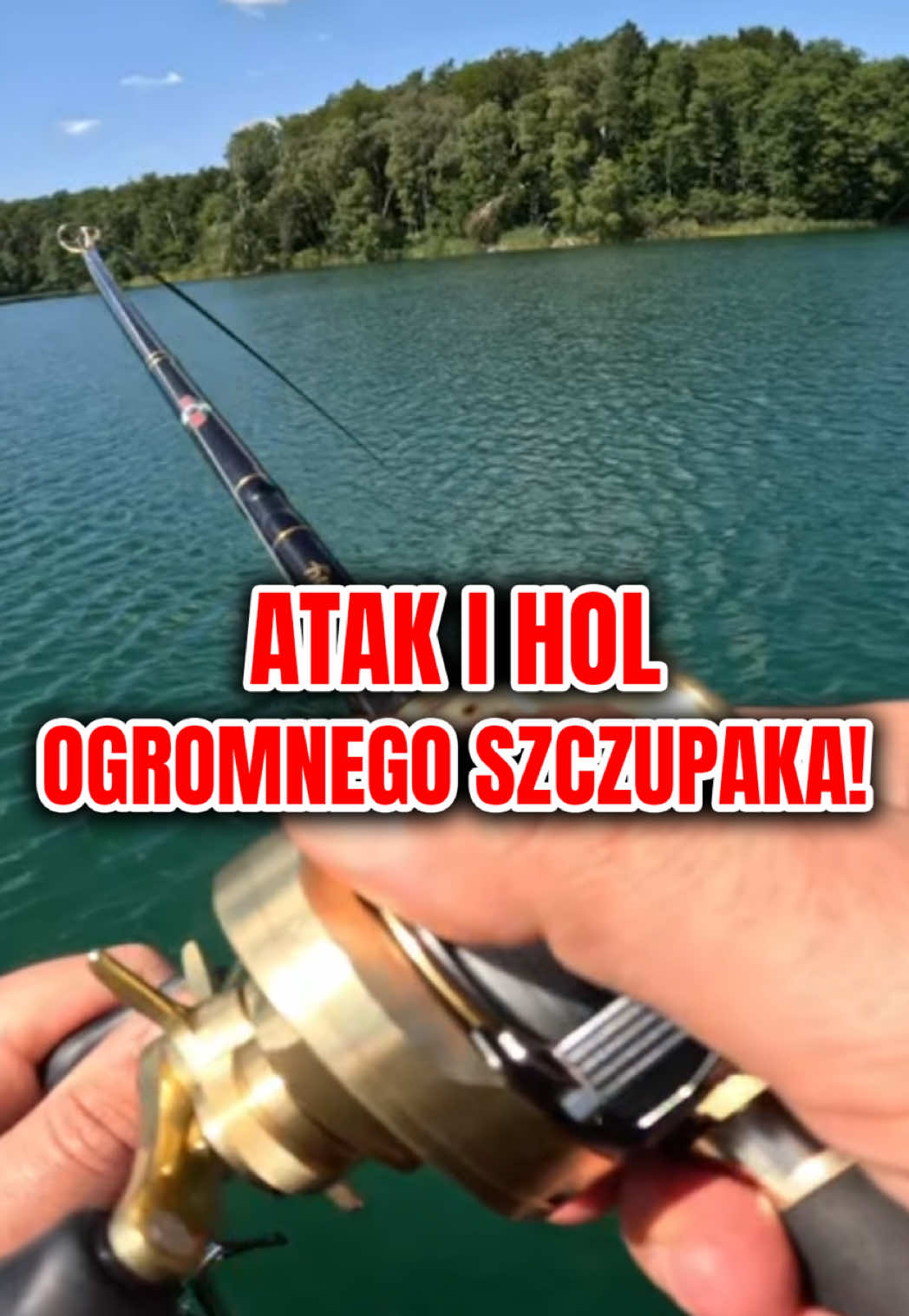 @Great Fish