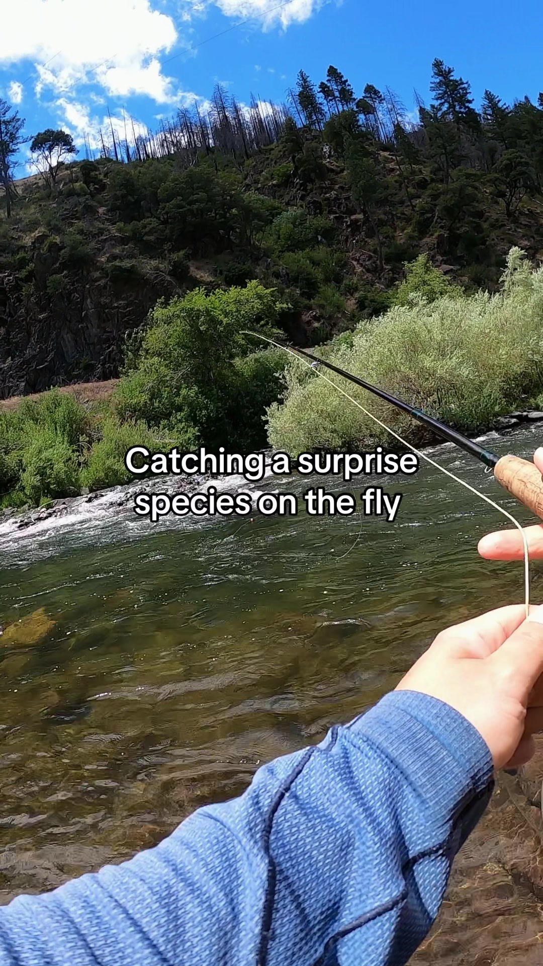 @TroutDoor | Fly Fishing