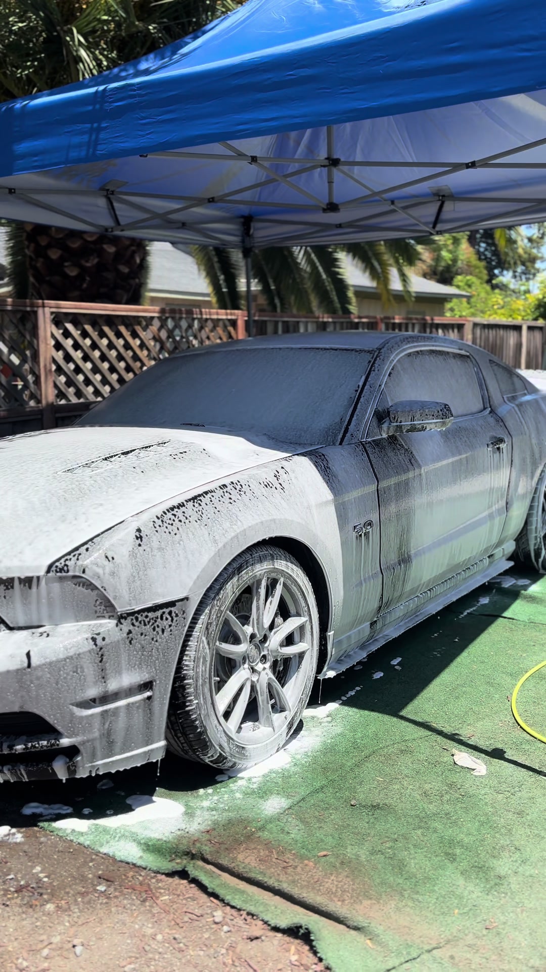@_nextlevelautodetailing
