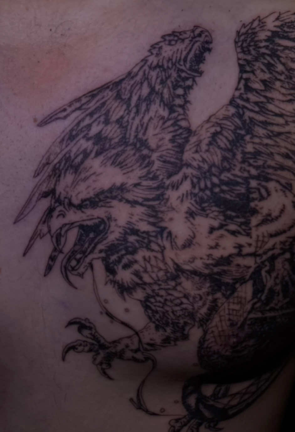 @nexus_tatt2