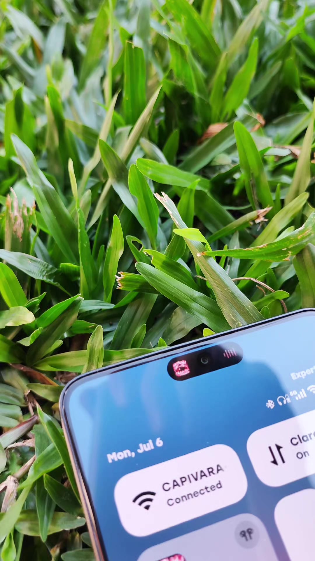 @Xiaomi Expert - Tech