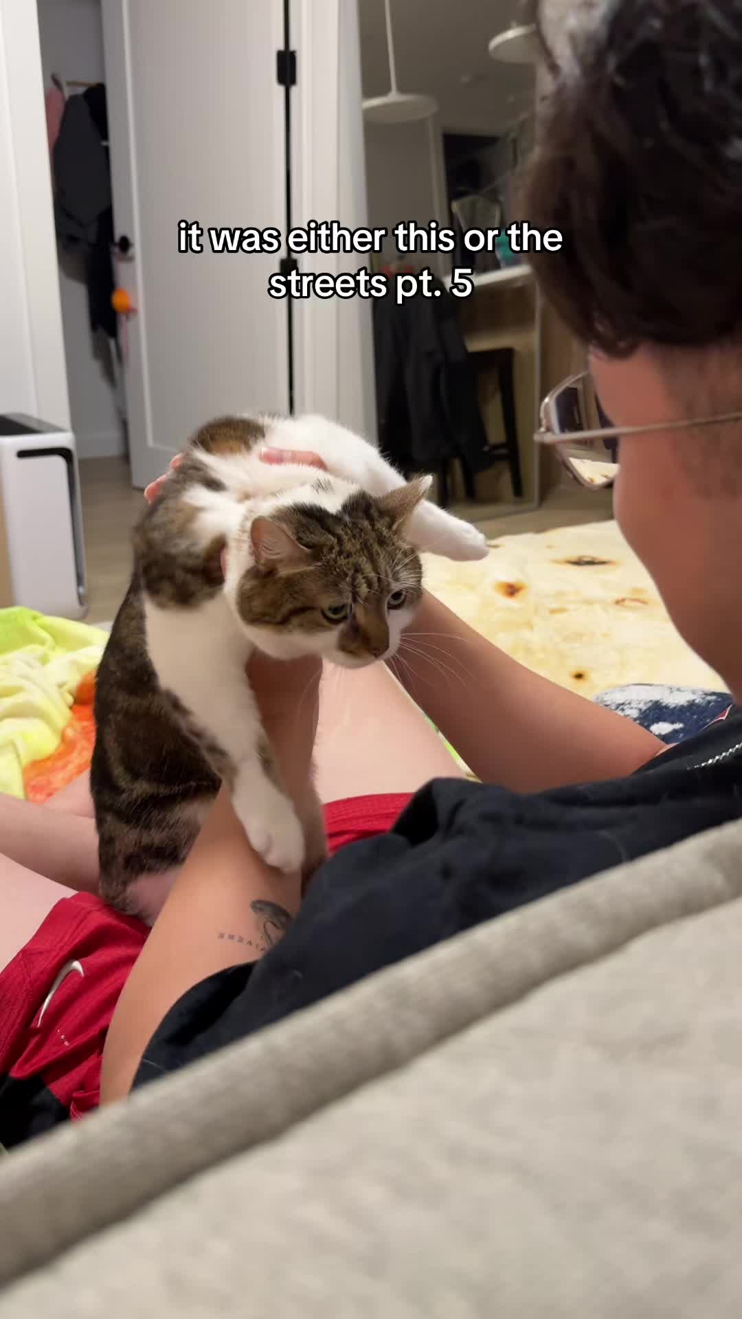 @Suki Purrs
