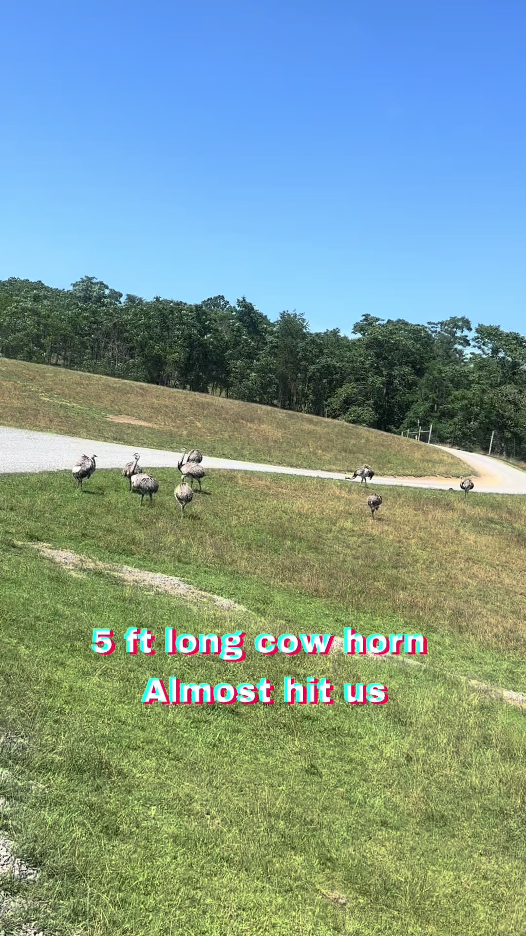 @𝓓𝓻. 𝓢𝓪𝓷𝓽𝓸𝓼𝓱