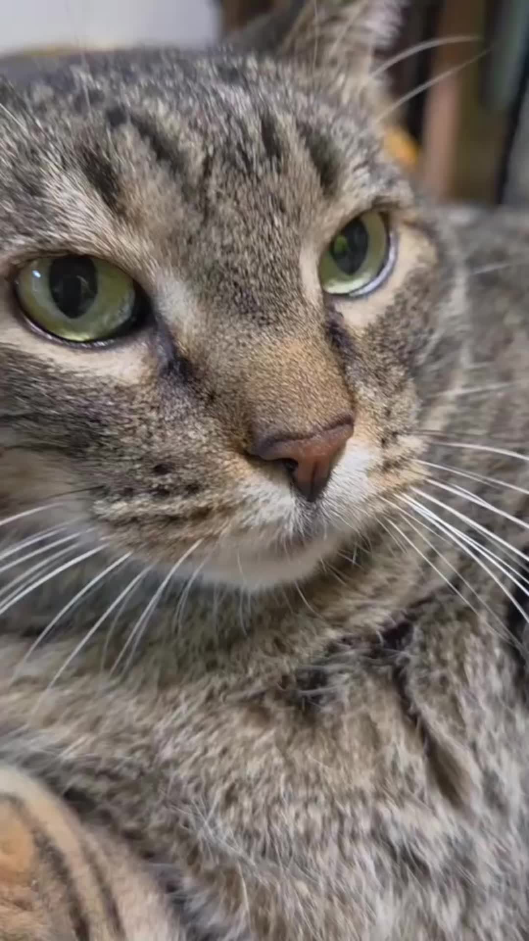 @Gigifromhappytwn