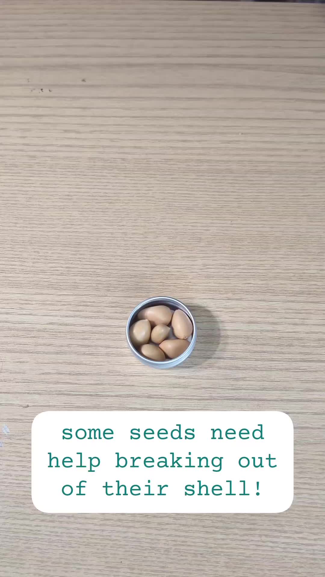 @Plantflix Seeds