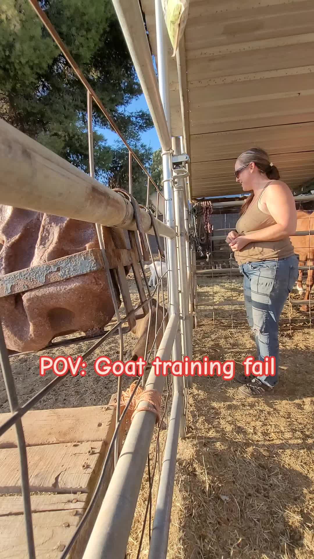 @VioletHorizonsFarm
