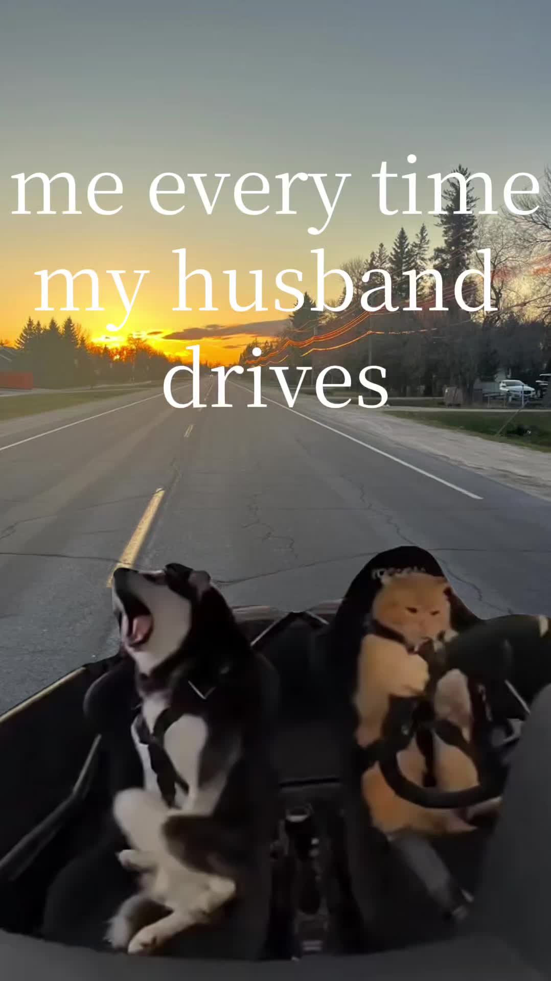 @gypie