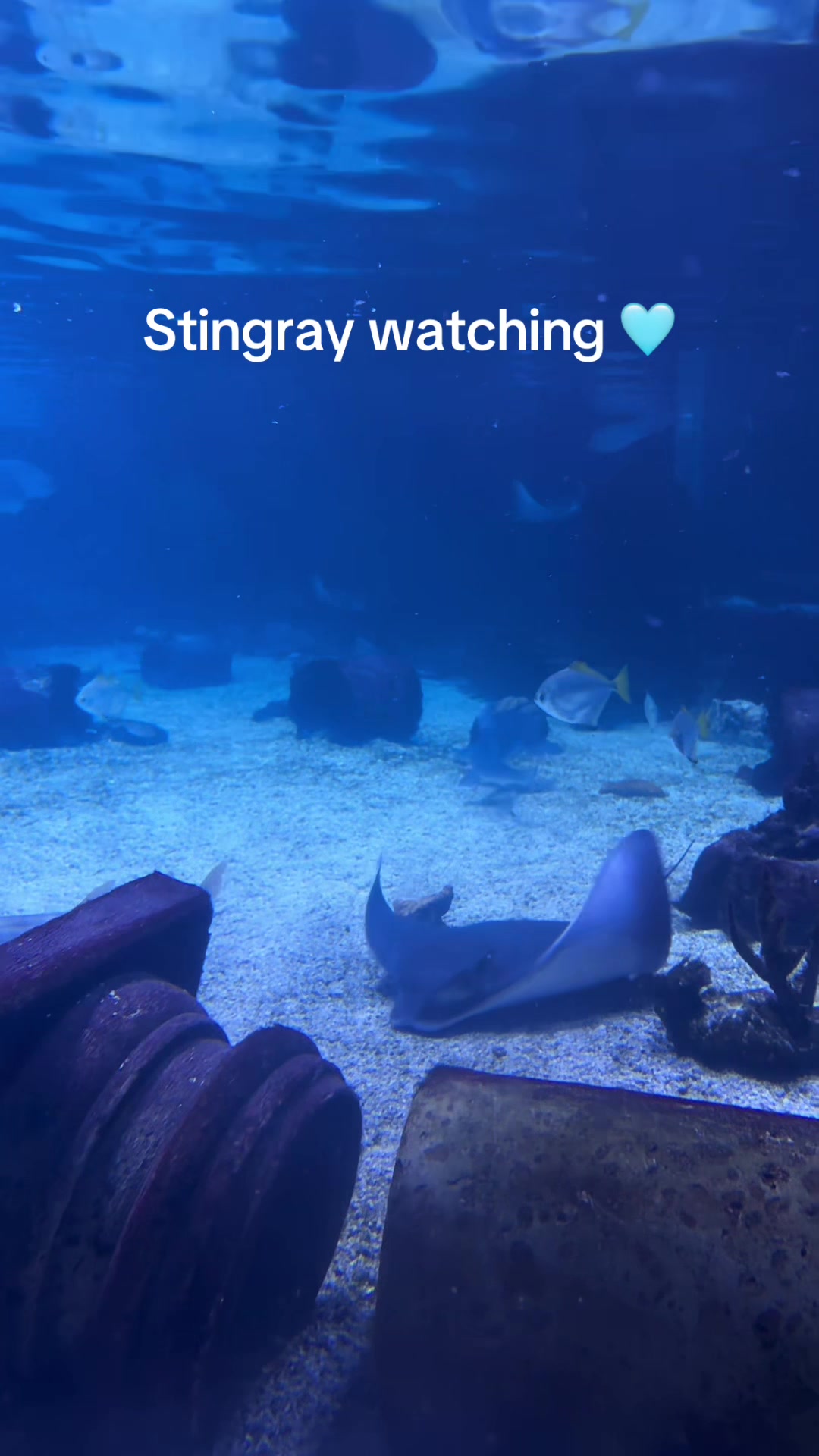 @San Antonio Aquarium