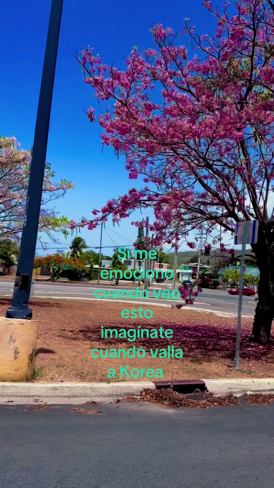 @𝄞⨾𓍢ִ໋ Tae𝄞⨾𓍢ִ໋