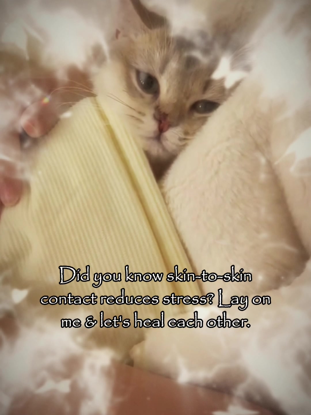 @Mihamii35