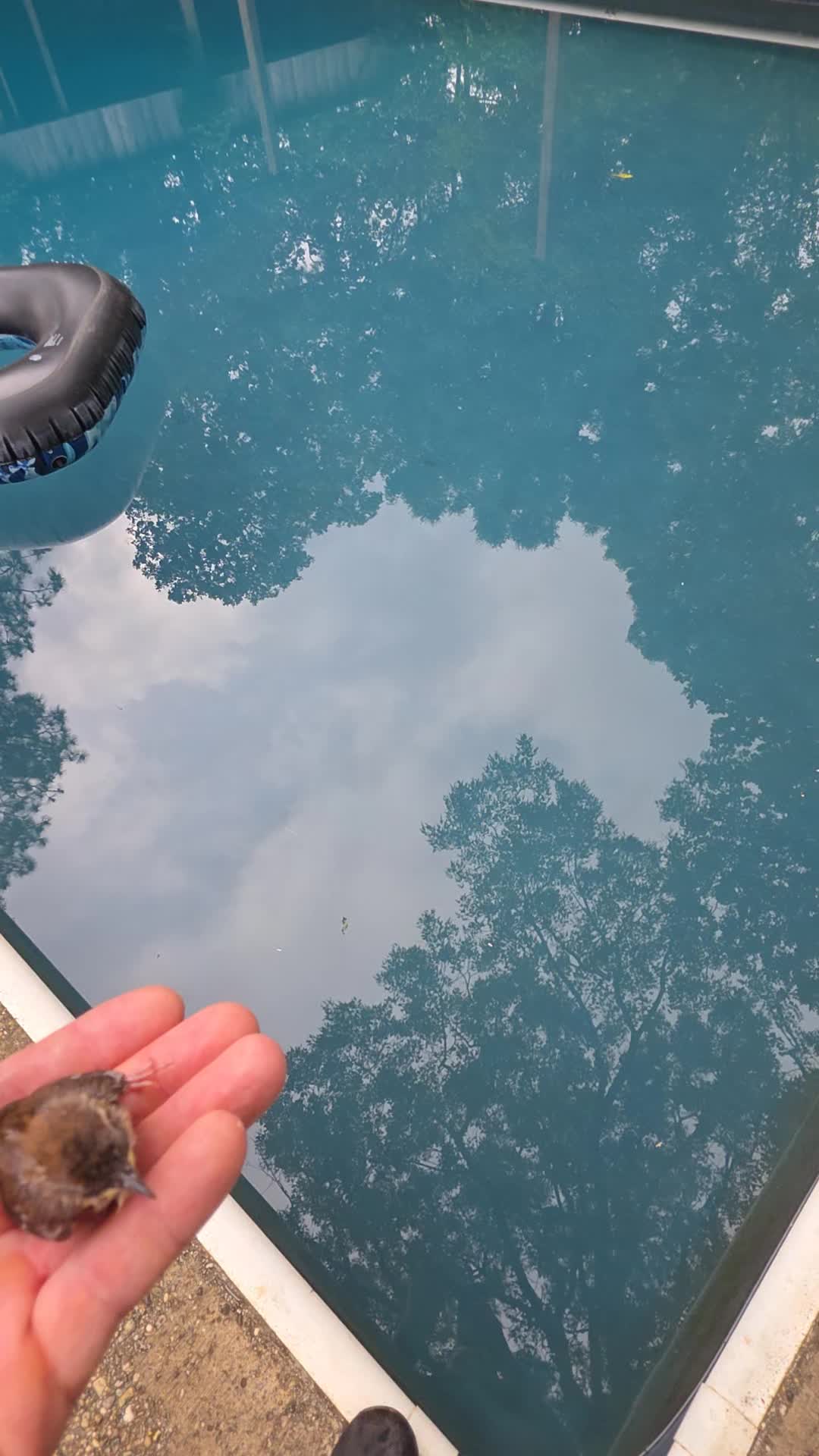 @alabamafella