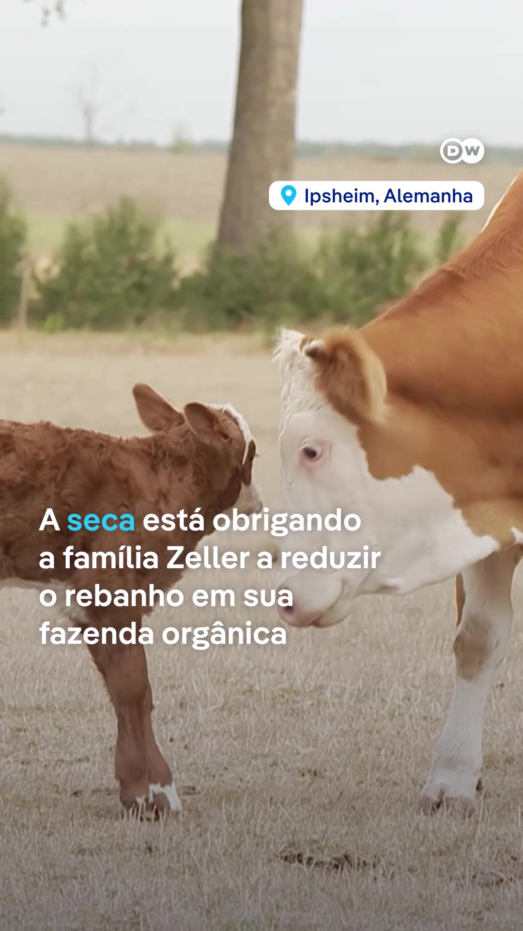 @Metr&oacute;poles Oficial