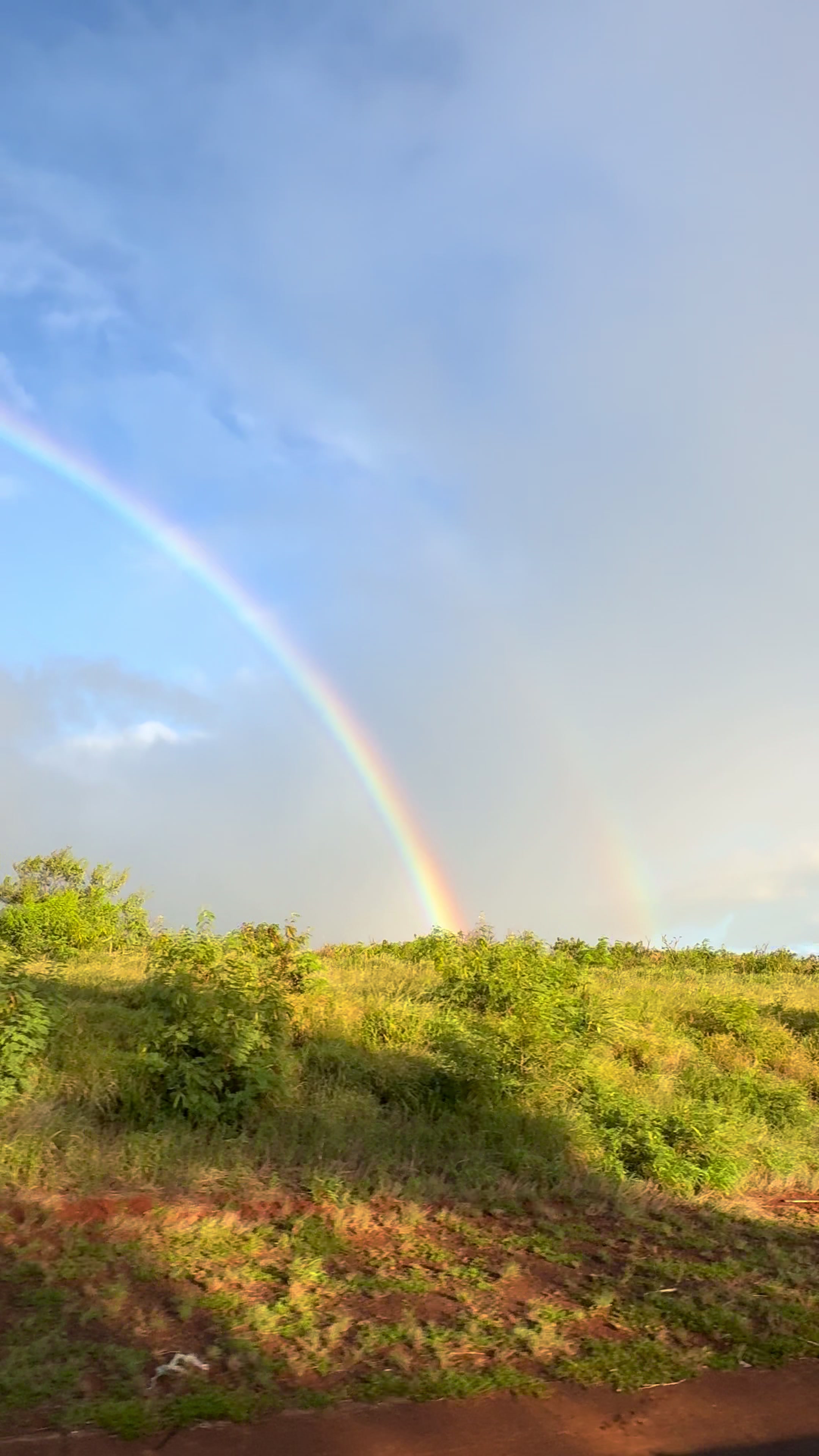 @Mauilani