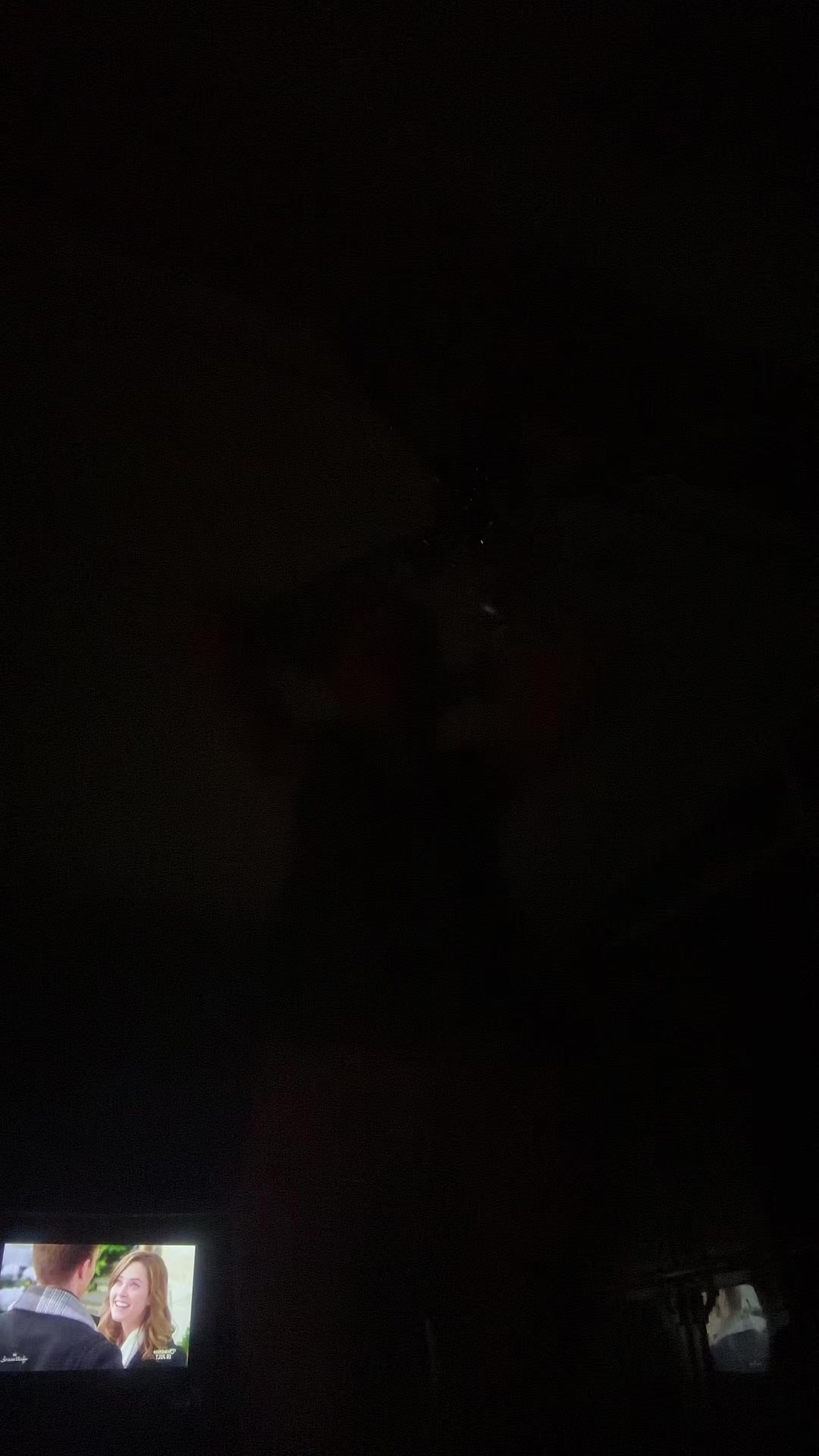 @pixiedust.2304