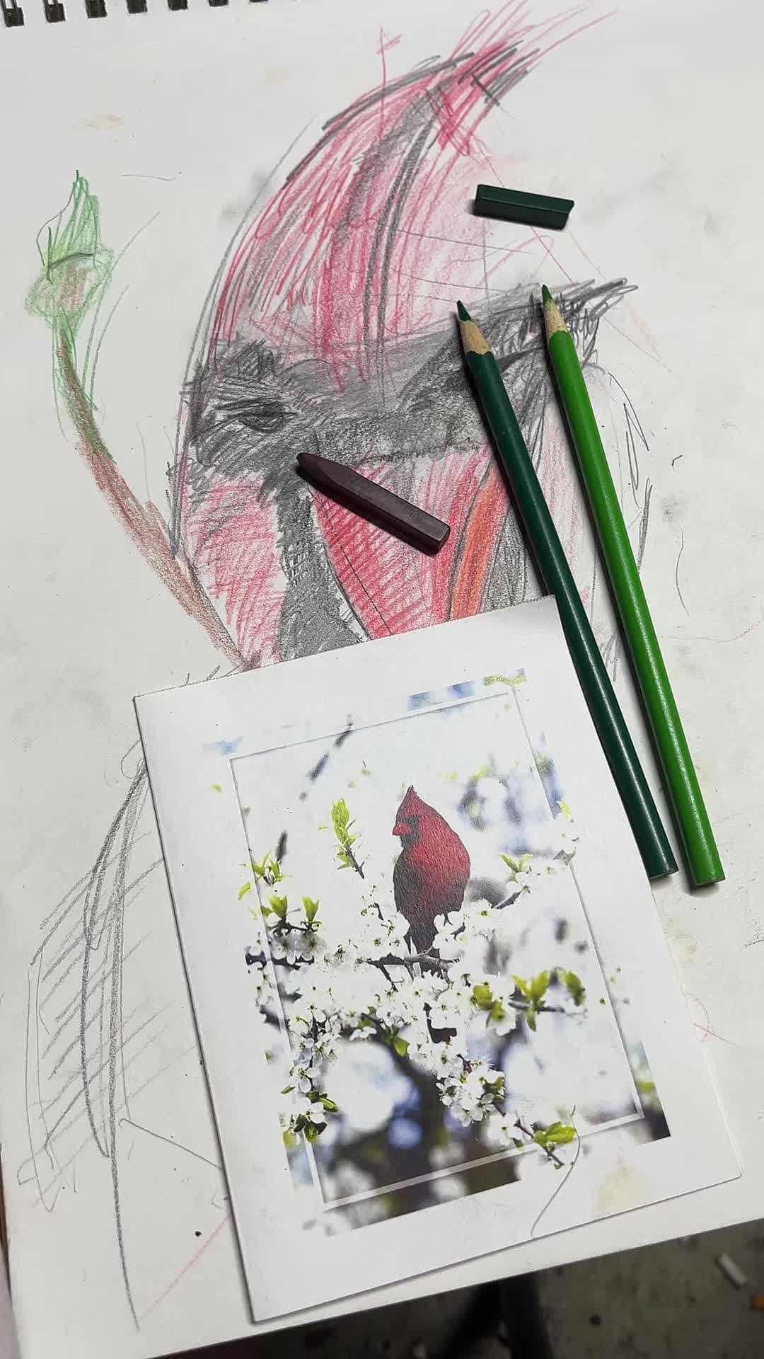 @Bc2551draws